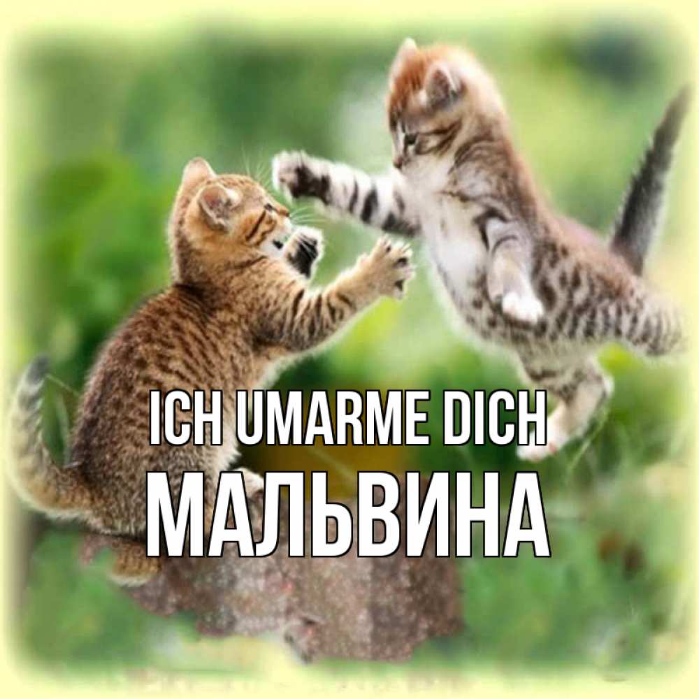Открытка на каждый день с именем, Мальвина Ich umarme dich игры котят Прикольная открытка с пожеланием онлайн скачать бесплатно 