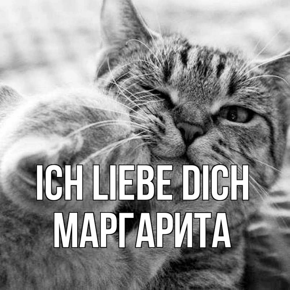Открытка на каждый день с именем, Маргарита Ich liebe dich коты Прикольная открытка с пожеланием онлайн скачать бесплатно 