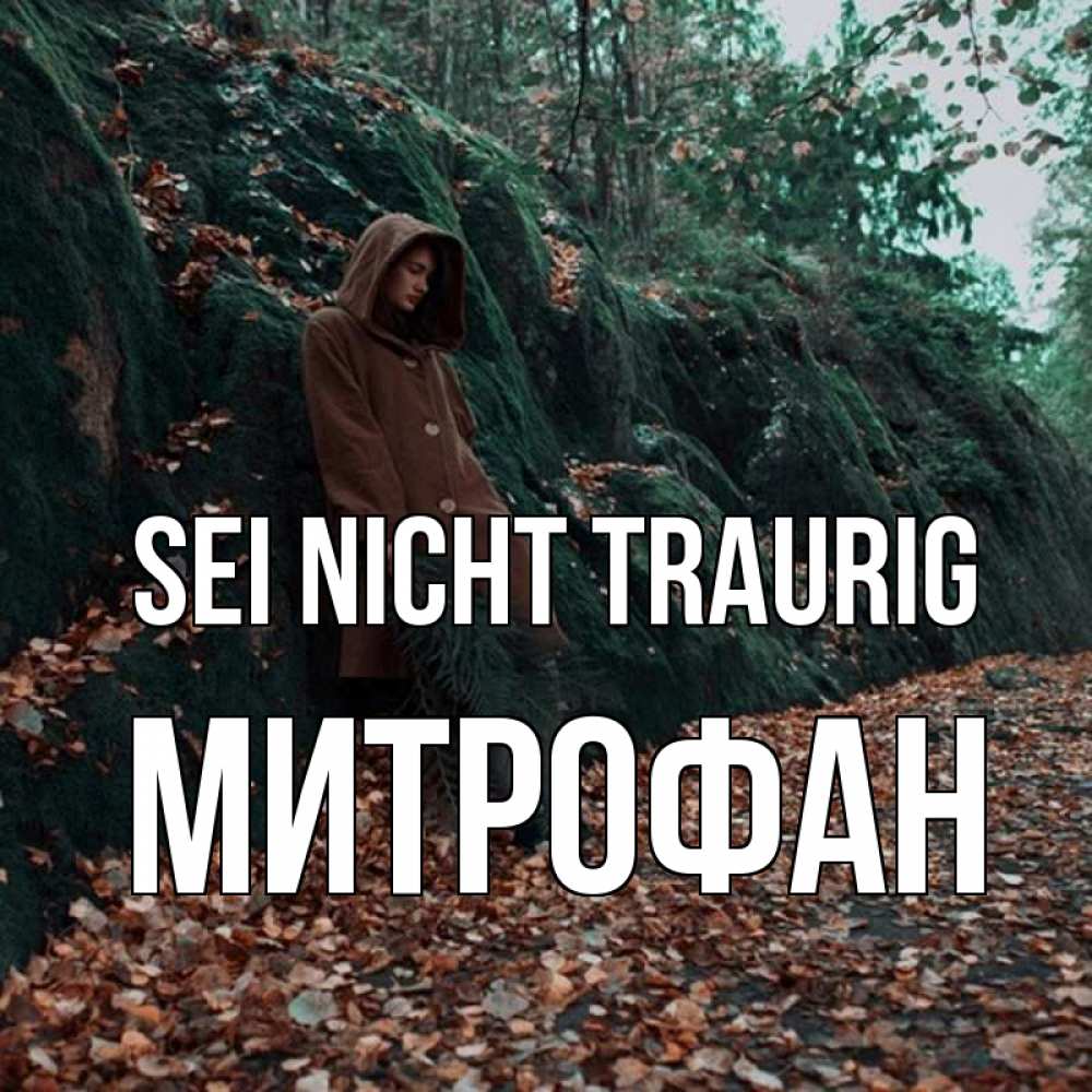 Открытка на каждый день с именем, Митрофан Sei nicht traurig осенний лес Прикольная открытка с пожеланием онлайн скачать бесплатно 