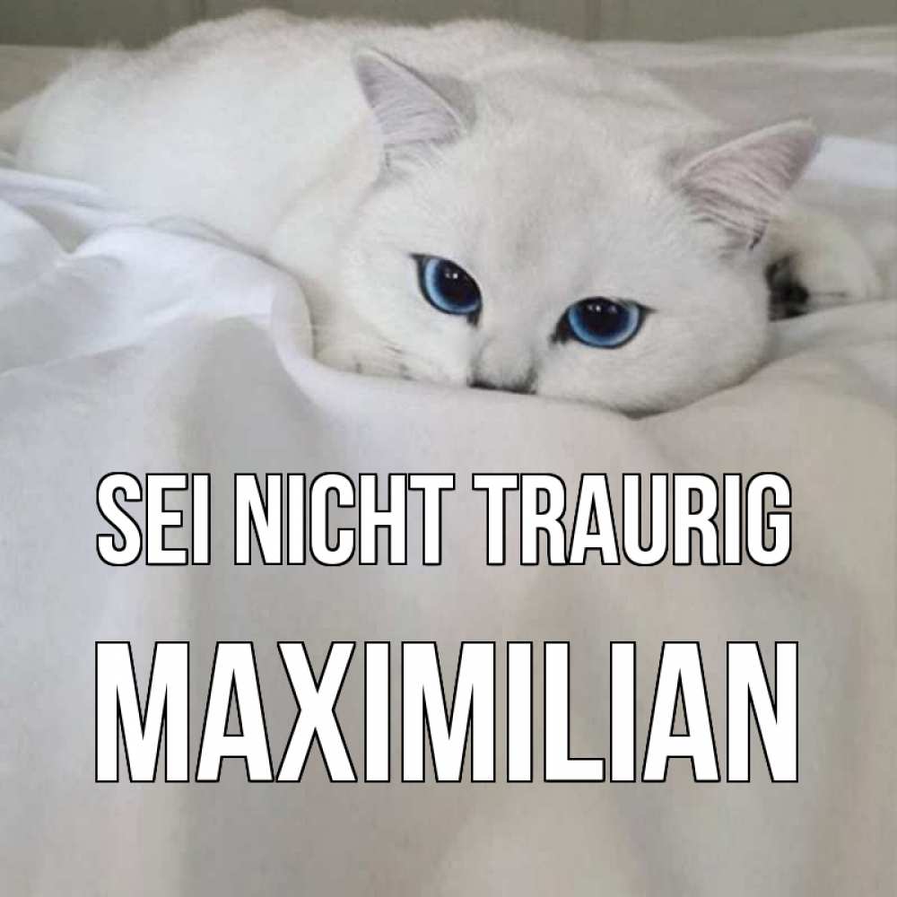 Открытка на каждый день с именем, Maximilian Sei nicht traurig белый кот с голубыми глазами на белоснежной кровати Прикольная открытка с пожеланием онлайн скачать бесплатно 