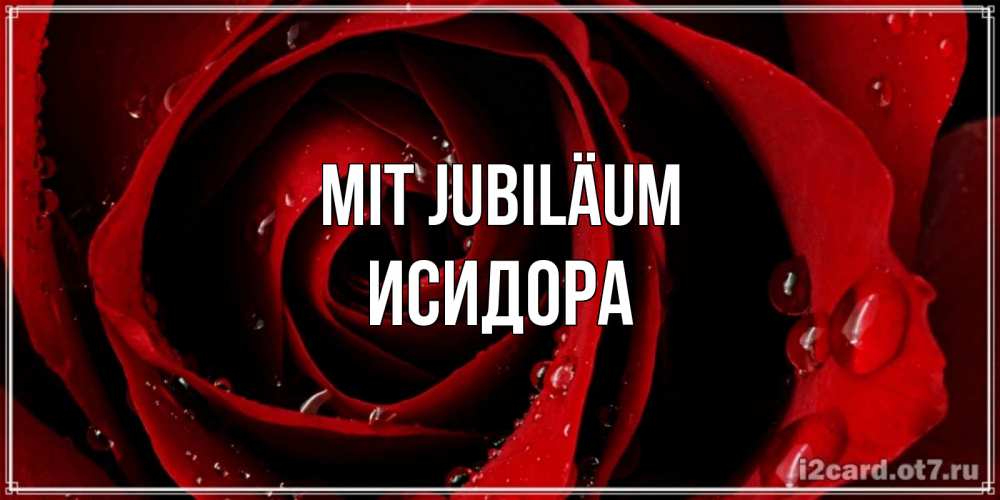 Открытка на каждый день с именем, Исидора Mit Jubiläum крупная бордовая роза Прикольная открытка с пожеланием онлайн скачать бесплатно 