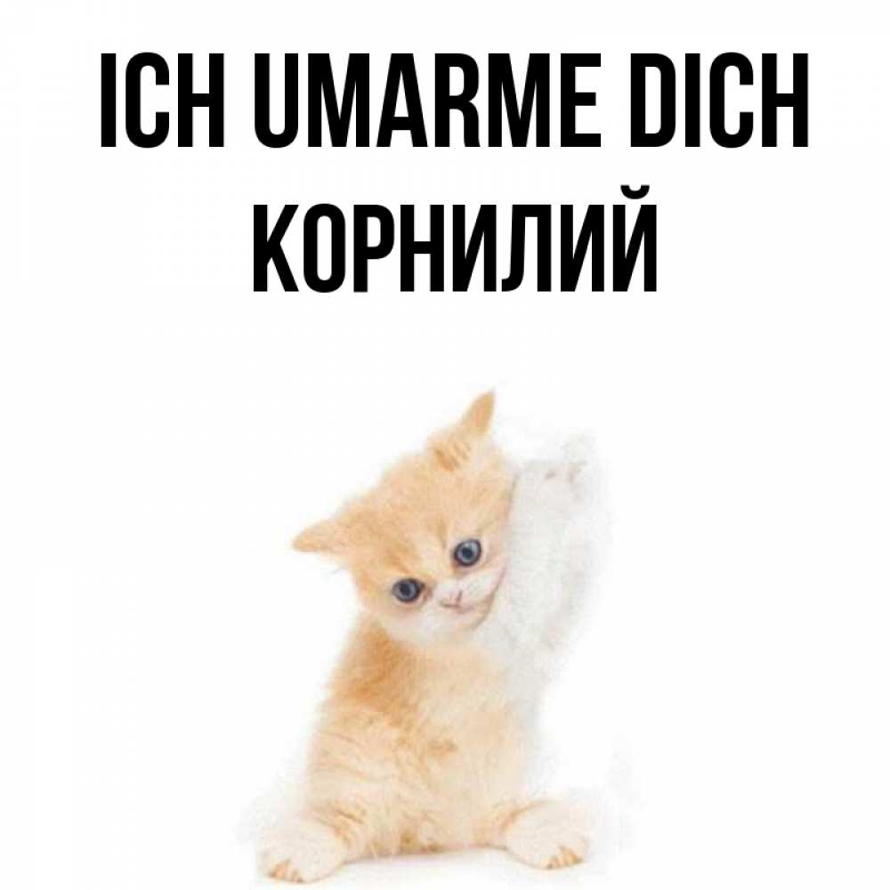 Открытка на каждый день с именем, Корнилий Ich umarme dich я хочу очень скорее обнимаешек Прикольная открытка с пожеланием онлайн скачать бесплатно 