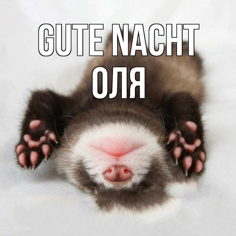 Открытка на каждый день с именем, Оля Gute Nacht зверек Прикольная открытка с пожеланием онлайн скачать бесплатно 