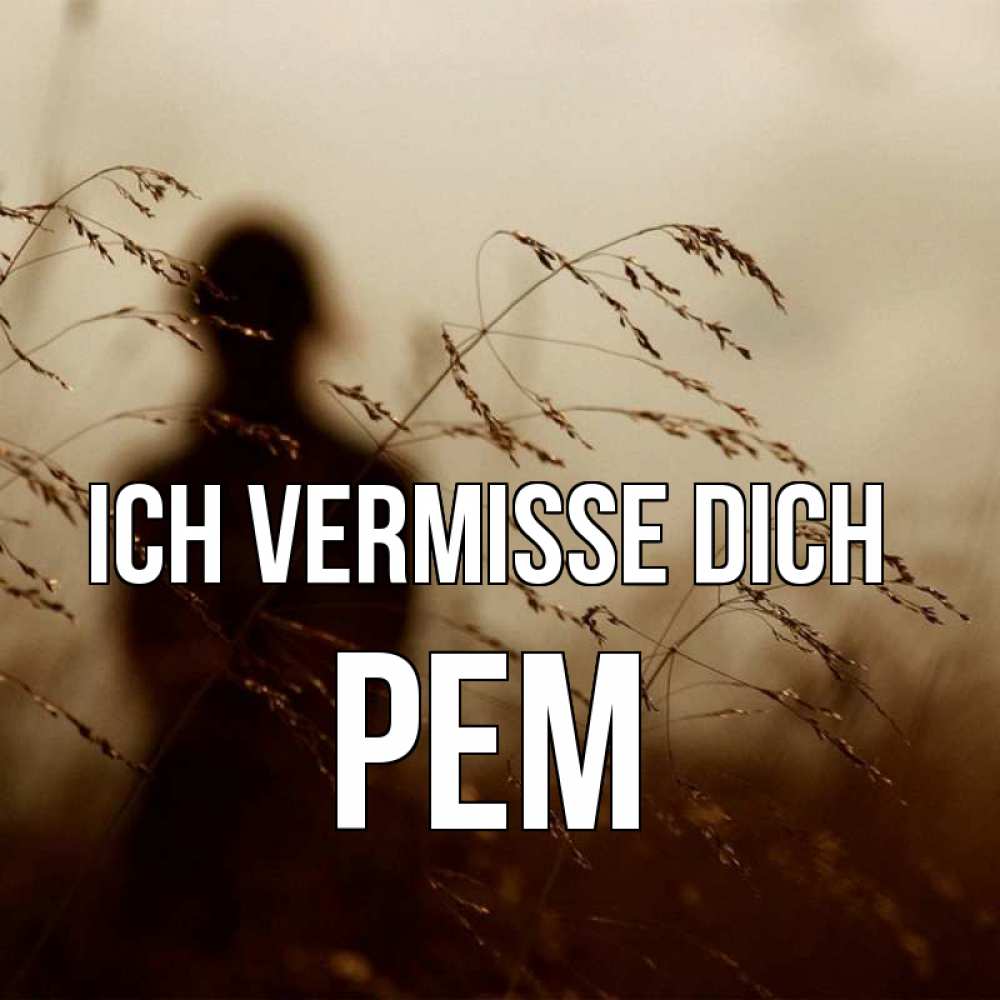 Открытка на каждый день с именем, Рем Ich vermisse dich силуэт девушки Прикольная открытка с пожеланием онлайн скачать бесплатно 