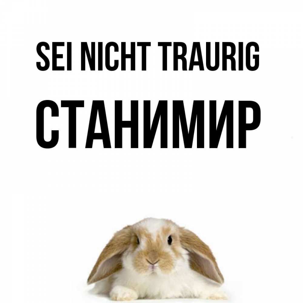 Открытка на каждый день с именем, Станимир Sei nicht traurig коричнево белый заяц с большими ушками Прикольная открытка с пожеланием онлайн скачать бесплатно 