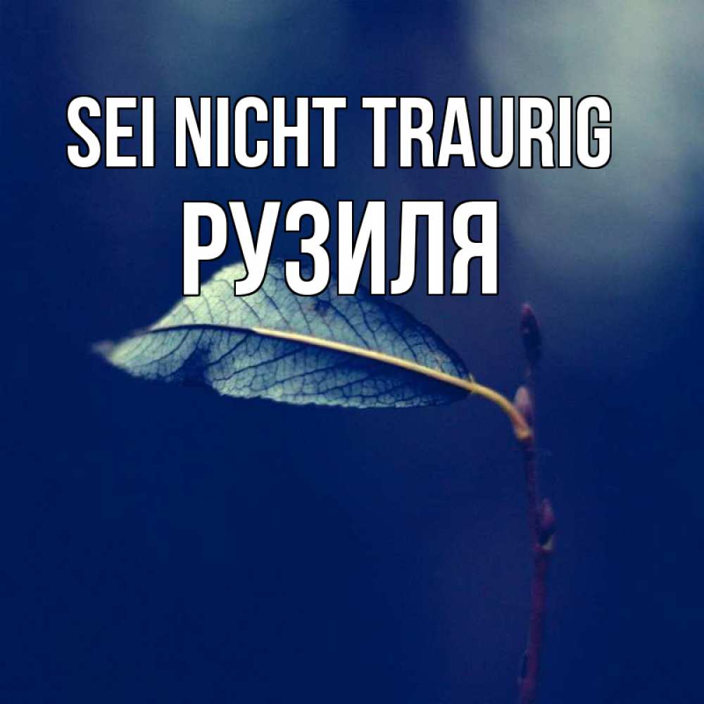 Открытка на каждый день с именем, Рузиля Sei nicht traurig растение Прикольная открытка с пожеланием онлайн скачать бесплатно 