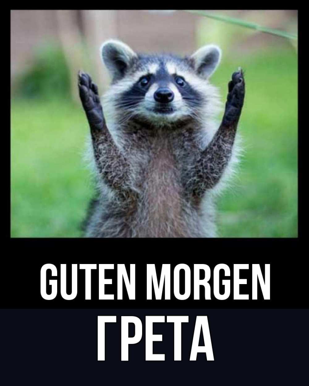 Открытка на каждый день с именем, Грета Guten Morgen хорошее настроение утречком Прикольная открытка с пожеланием онлайн скачать бесплатно 