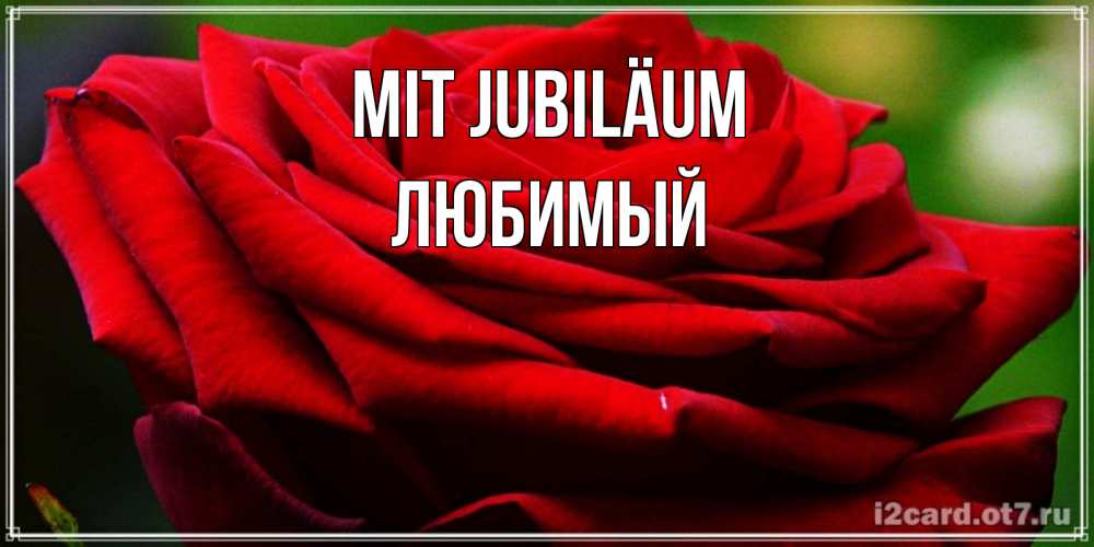 Открытка на каждый день с именем, Любимый Mit Jubiläum розочка очень красивая Прикольная открытка с пожеланием онлайн скачать бесплатно 