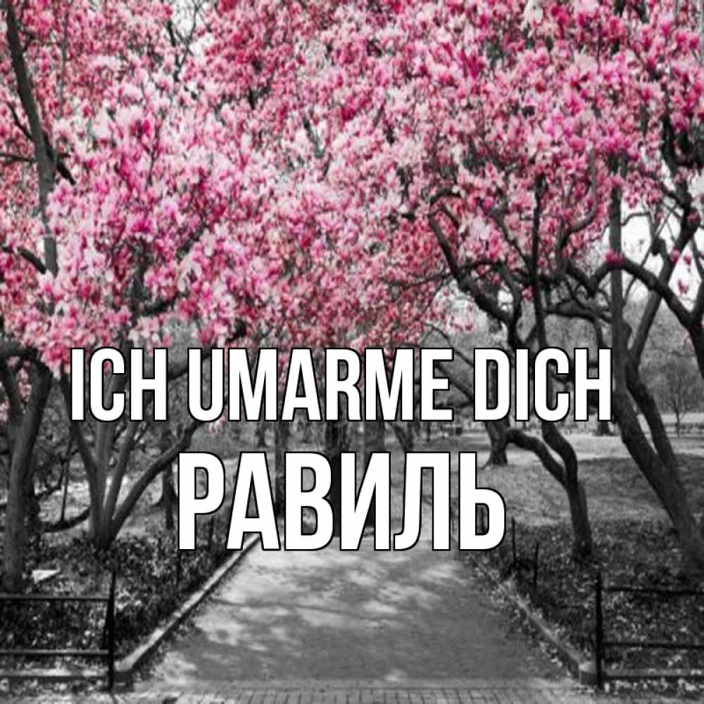 Открытка на каждый день с именем, Равиль Ich umarme dich обработанное фото Прикольная открытка с пожеланием онлайн скачать бесплатно 