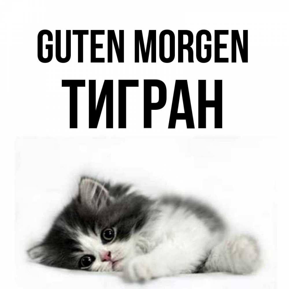 Открытка на каждый день с именем, Тигран Guten Morgen кот лапки Прикольная открытка с пожеланием онлайн скачать бесплатно 