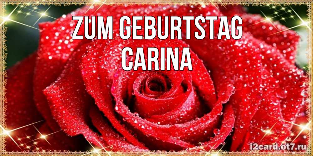 Открытка на каждый день с именем, Carina Zum Geburtstag роса и роза. открытка с красивой розой Прикольная открытка с пожеланием онлайн скачать бесплатно 