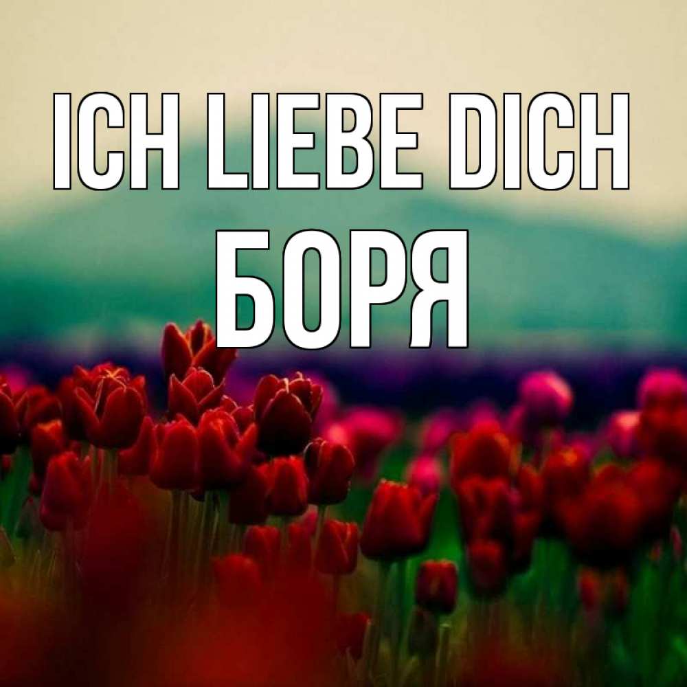 Открытка на каждый день с именем, Боря Ich liebe dich тюльпаны 4 Прикольная открытка с пожеланием онлайн скачать бесплатно 