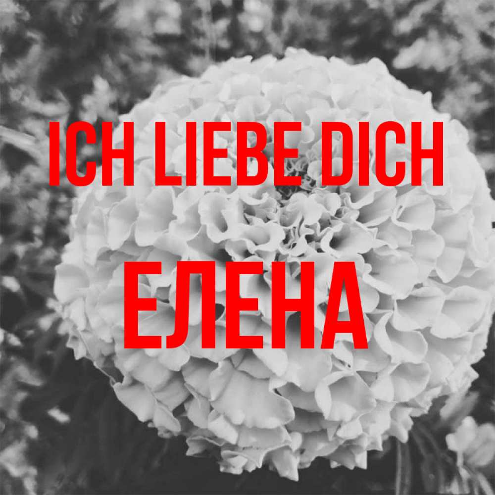 Открытка на каждый день с именем, Елена Ich liebe dich подпись Прикольная открытка с пожеланием онлайн скачать бесплатно 