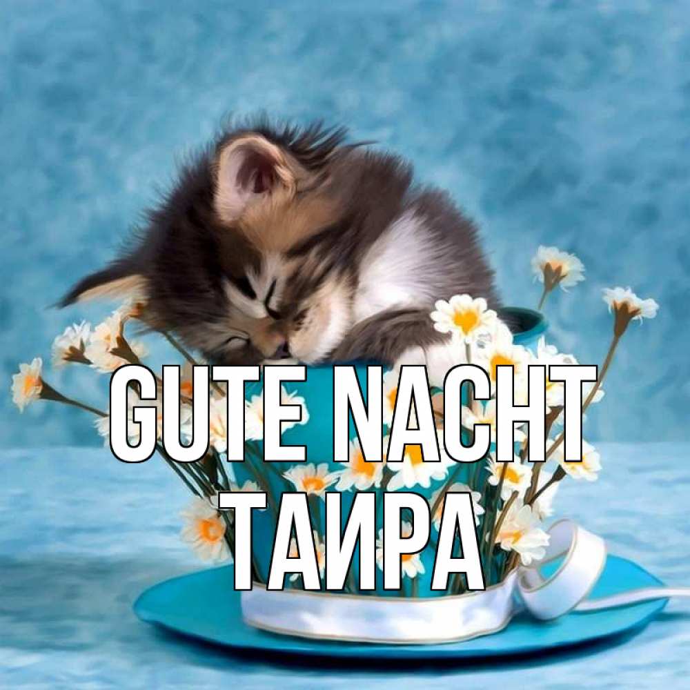 Открытка на каждый день с именем, Таира Gute Nacht котенок спит в кружке с блюдцем Прикольная открытка с пожеланием онлайн скачать бесплатно 