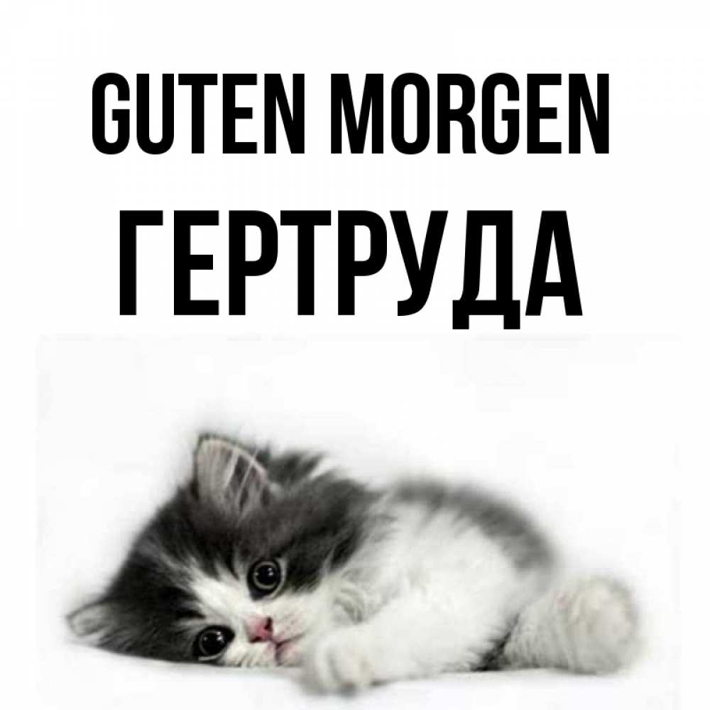 Открытка на каждый день с именем, Гертруда Guten Morgen кот лапки Прикольная открытка с пожеланием онлайн скачать бесплатно 