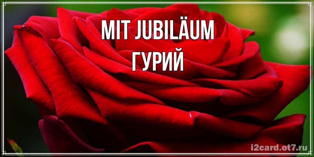 Открытка на каждый день с именем, Гурий Mit Jubiläum розочка очень красивая Прикольная открытка с пожеланием онлайн скачать бесплатно 