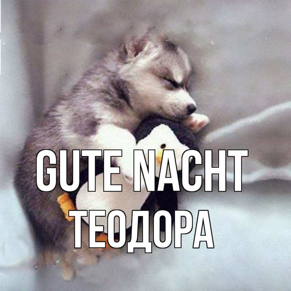 Открытка на каждый день с именем, Теодора Gute Nacht обнимашки щенка и пингвина Прикольная открытка с пожеланием онлайн скачать бесплатно 