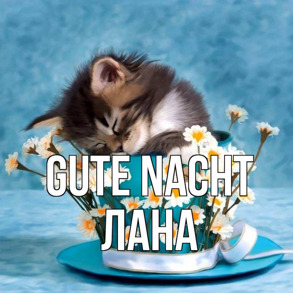 Открытка на каждый день с именем, Лана Gute Nacht котенок спит в кружке с блюдцем Прикольная открытка с пожеланием онлайн скачать бесплатно 