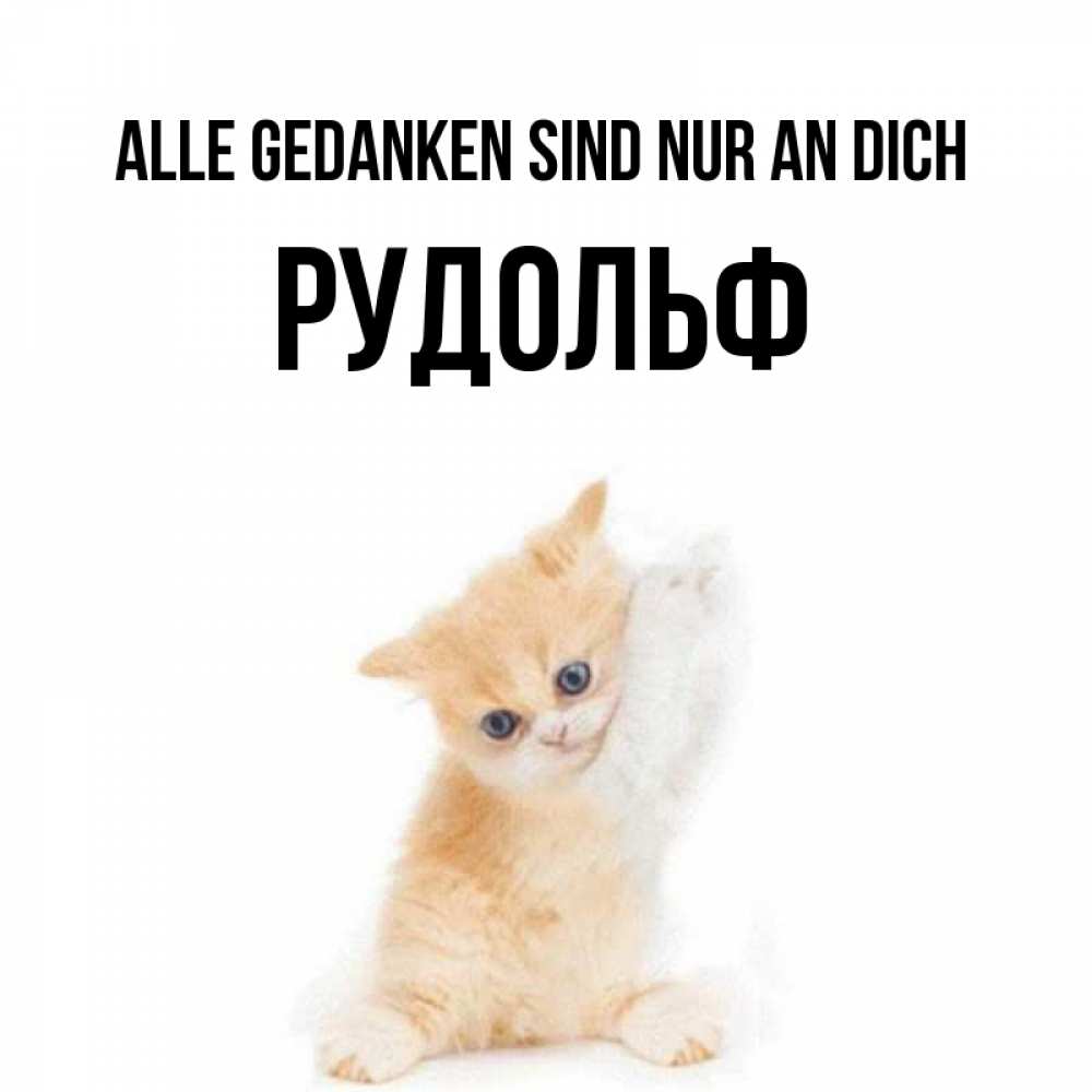 Открытка на каждый день с именем, Рудольф Alle Gedanken sind nur an dich зверушки и милота Прикольная открытка с пожеланием онлайн скачать бесплатно 