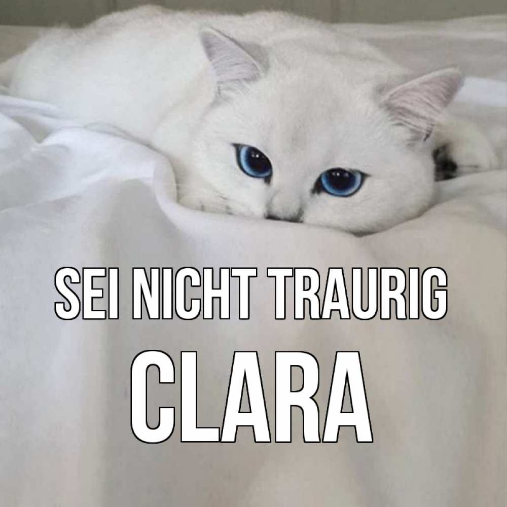 Открытка на каждый день с именем, Clara Sei nicht traurig белый кот с голубыми глазами на белоснежной кровати Прикольная открытка с пожеланием онлайн скачать бесплатно 