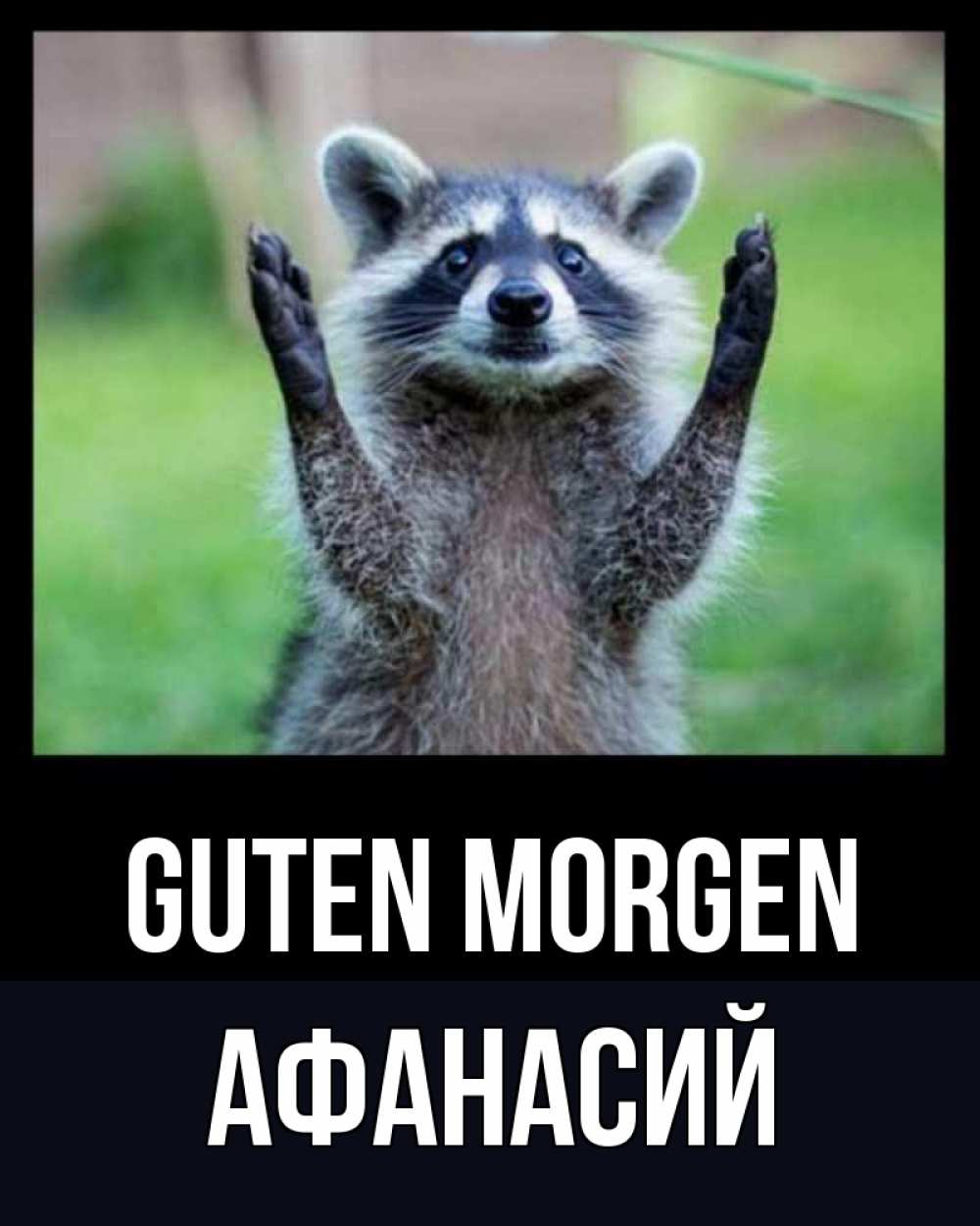 Открытка на каждый день с именем, Афанасий Guten Morgen хорошее настроение утречком Прикольная открытка с пожеланием онлайн скачать бесплатно 