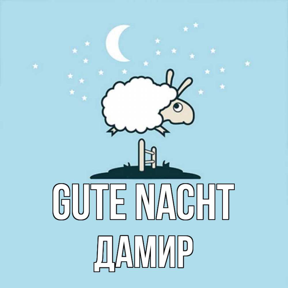 Открытка на каждый день с именем, Дамир Gute Nacht с животными сладких сноведений Прикольная открытка с пожеланием онлайн скачать бесплатно 
