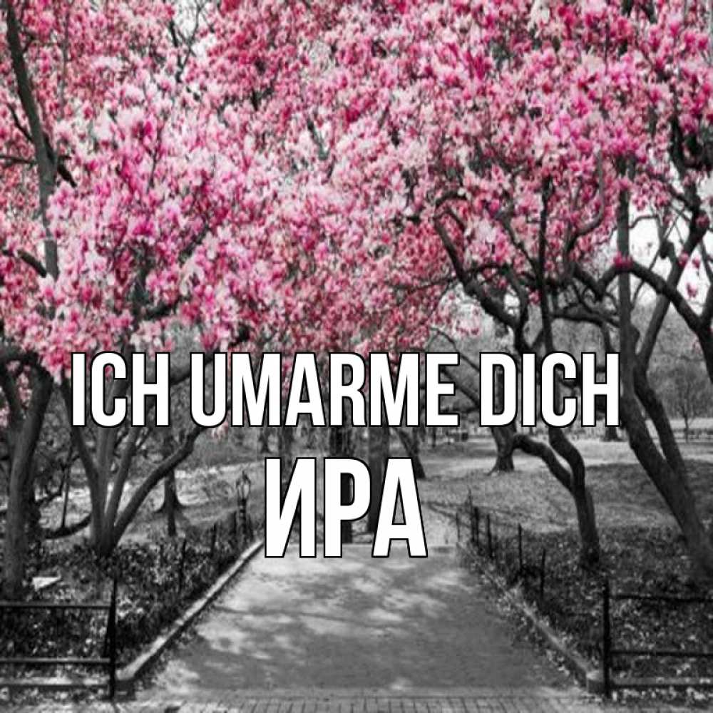 Открытка на каждый день с именем, Ира Ich umarme dich обработанное фото Прикольная открытка с пожеланием онлайн скачать бесплатно 