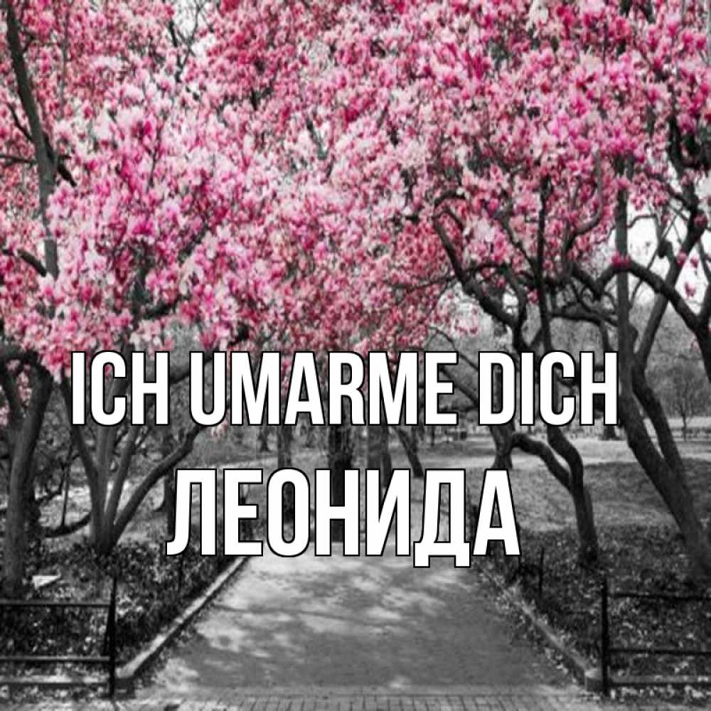 Открытка на каждый день с именем, Леонида Ich umarme dich обработанное фото Прикольная открытка с пожеланием онлайн скачать бесплатно 