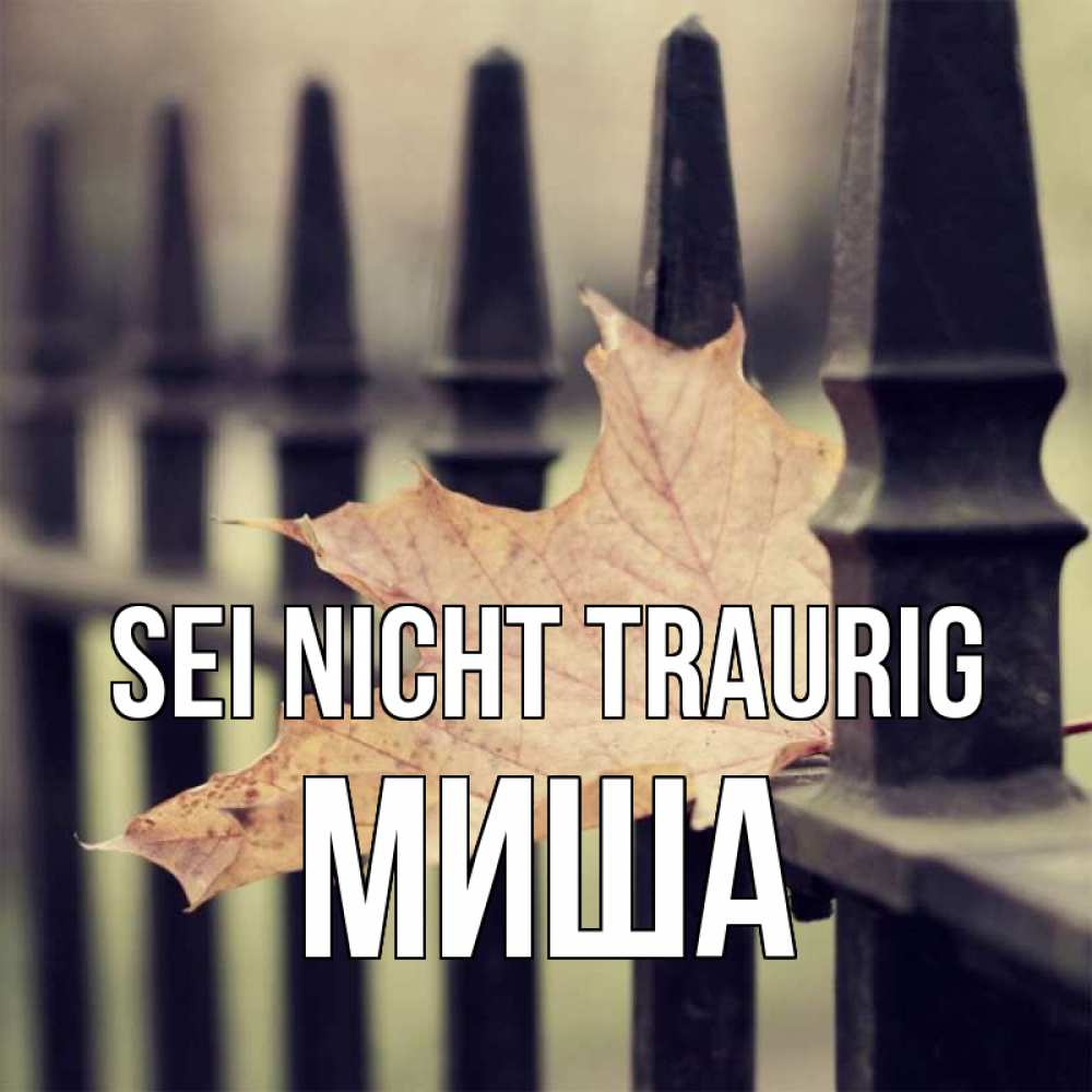 Открытка на каждый день с именем, Миша Sei nicht traurig лист клена Прикольная открытка с пожеланием онлайн скачать бесплатно 