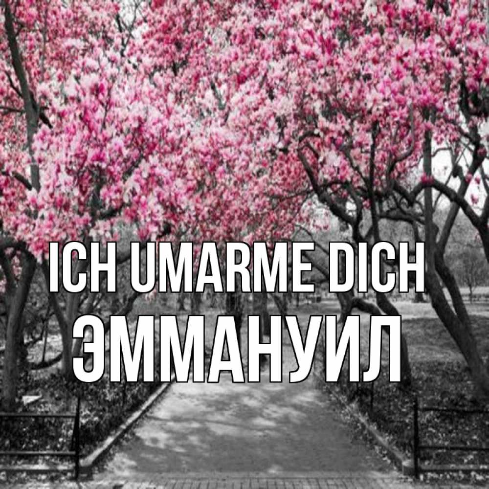 Открытка на каждый день с именем, Эммануил Ich umarme dich обработанное фото Прикольная открытка с пожеланием онлайн скачать бесплатно 