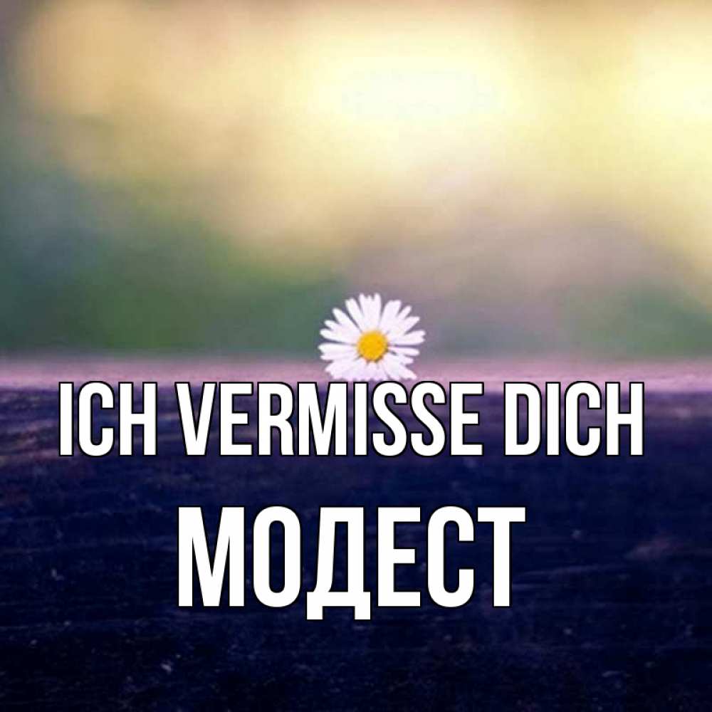 Открытка на каждый день с именем, Модест Ich vermisse dich приходи в гости Прикольная открытка с пожеланием онлайн скачать бесплатно 