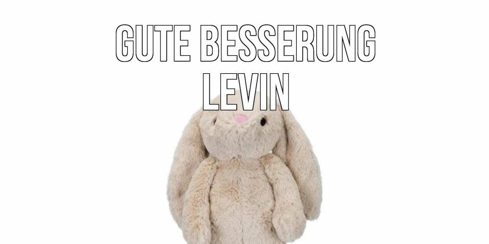 Открытка на каждый день с именем, Levin Gute Besserung не болей Прикольная открытка с пожеланием онлайн скачать бесплатно 