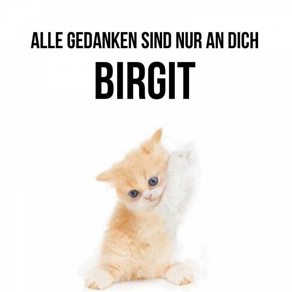 Открытка на каждый день с именем, Birgit Alle Gedanken sind nur an dich зверушки и милота Прикольная открытка с пожеланием онлайн скачать бесплатно 