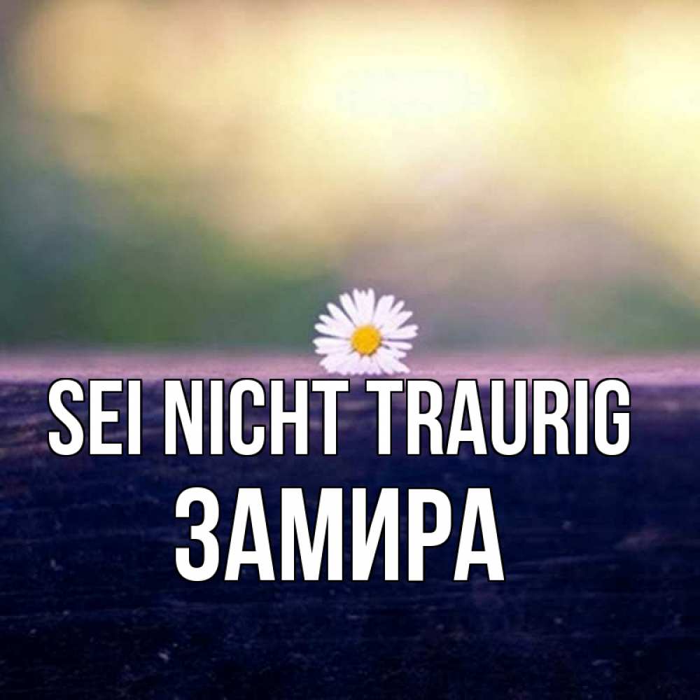 Открытка на каждый день с именем, Замира Sei nicht traurig красота Прикольная открытка с пожеланием онлайн скачать бесплатно 