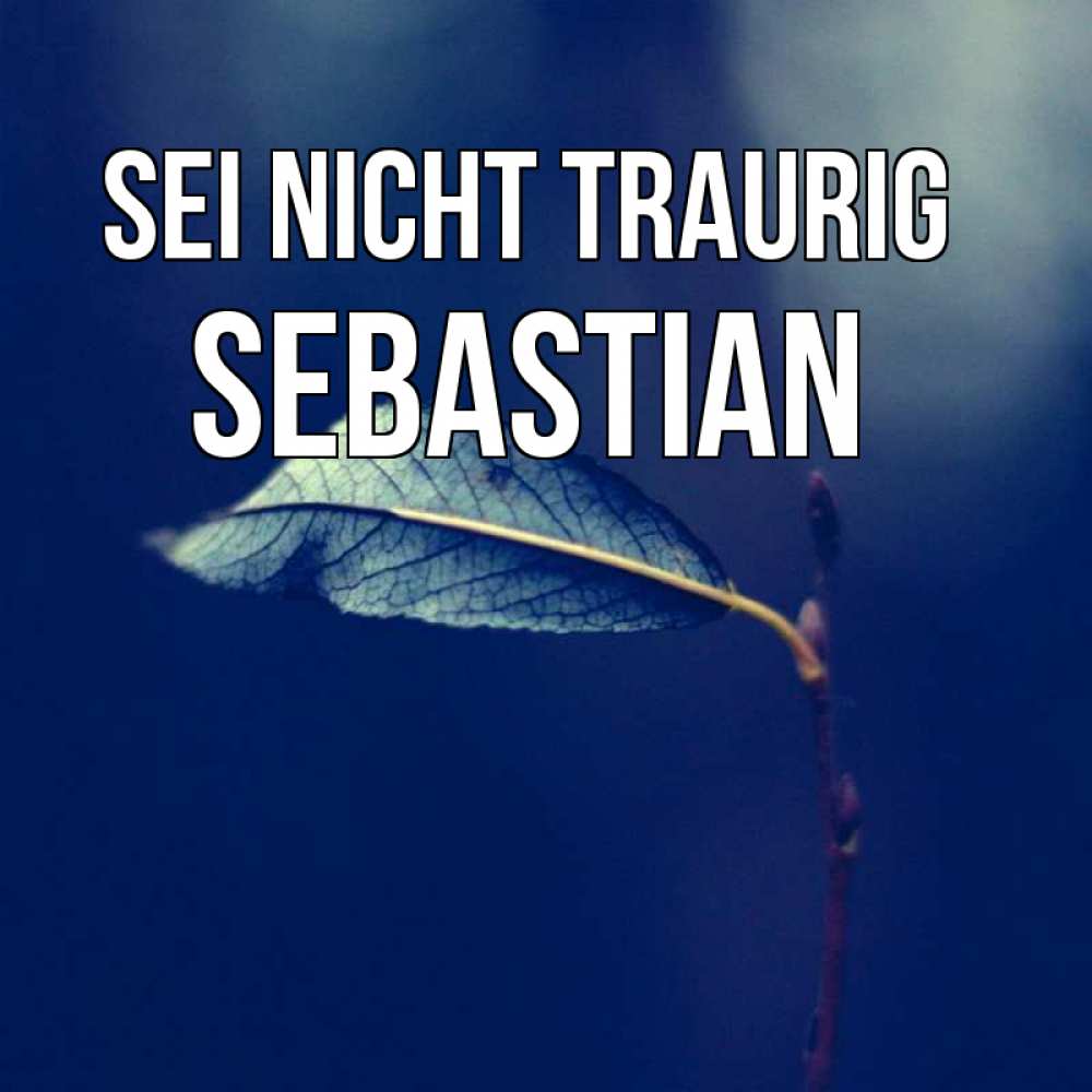 Открытка на каждый день с именем, Sebastian Sei nicht traurig растение Прикольная открытка с пожеланием онлайн скачать бесплатно 