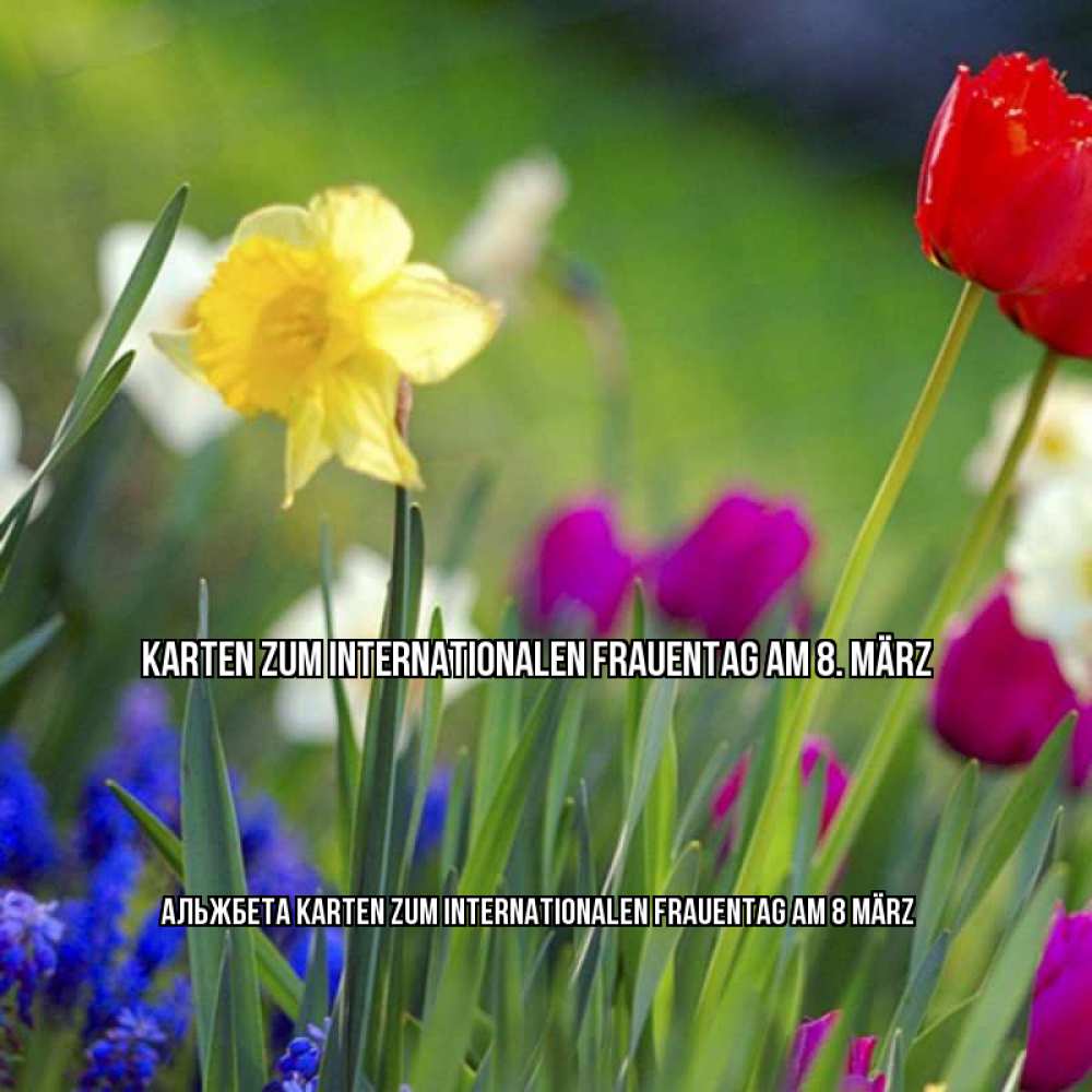Картинка Karten zum Internationalen Frauentag am 8. März, Альжбета