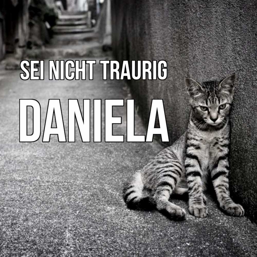 Открытка на каждый день с именем, Daniela Sei nicht traurig скучающий котик Прикольная открытка с пожеланием онлайн скачать бесплатно 