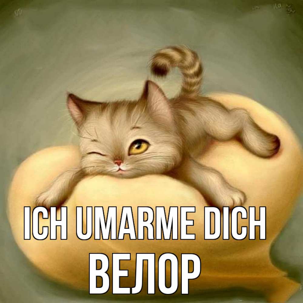 Открытка на каждый день с именем, Велор Ich umarme dich кошечка Прикольная открытка с пожеланием онлайн скачать бесплатно 