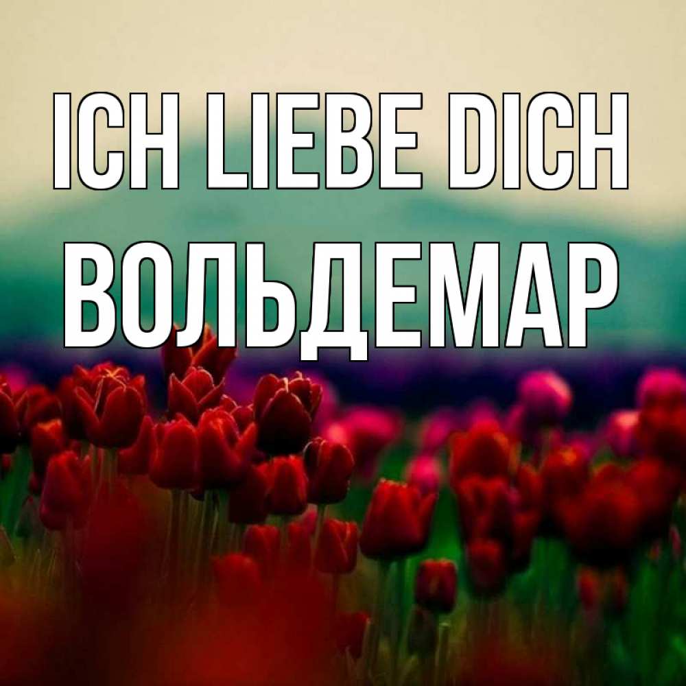 Открытка на каждый день с именем, Вольдемар Ich liebe dich тюльпаны 4 Прикольная открытка с пожеланием онлайн скачать бесплатно 