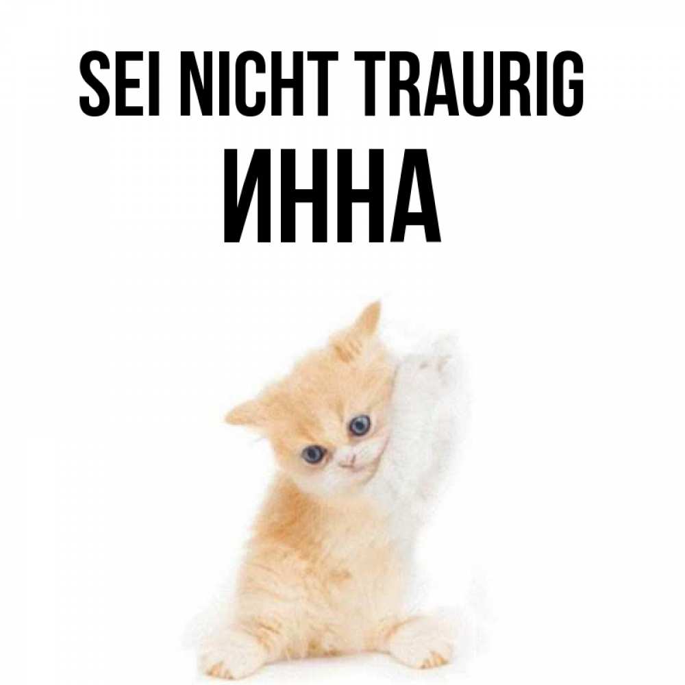 Открытка на каждый день с именем, Инна Sei nicht traurig просящий кот Прикольная открытка с пожеланием онлайн скачать бесплатно 