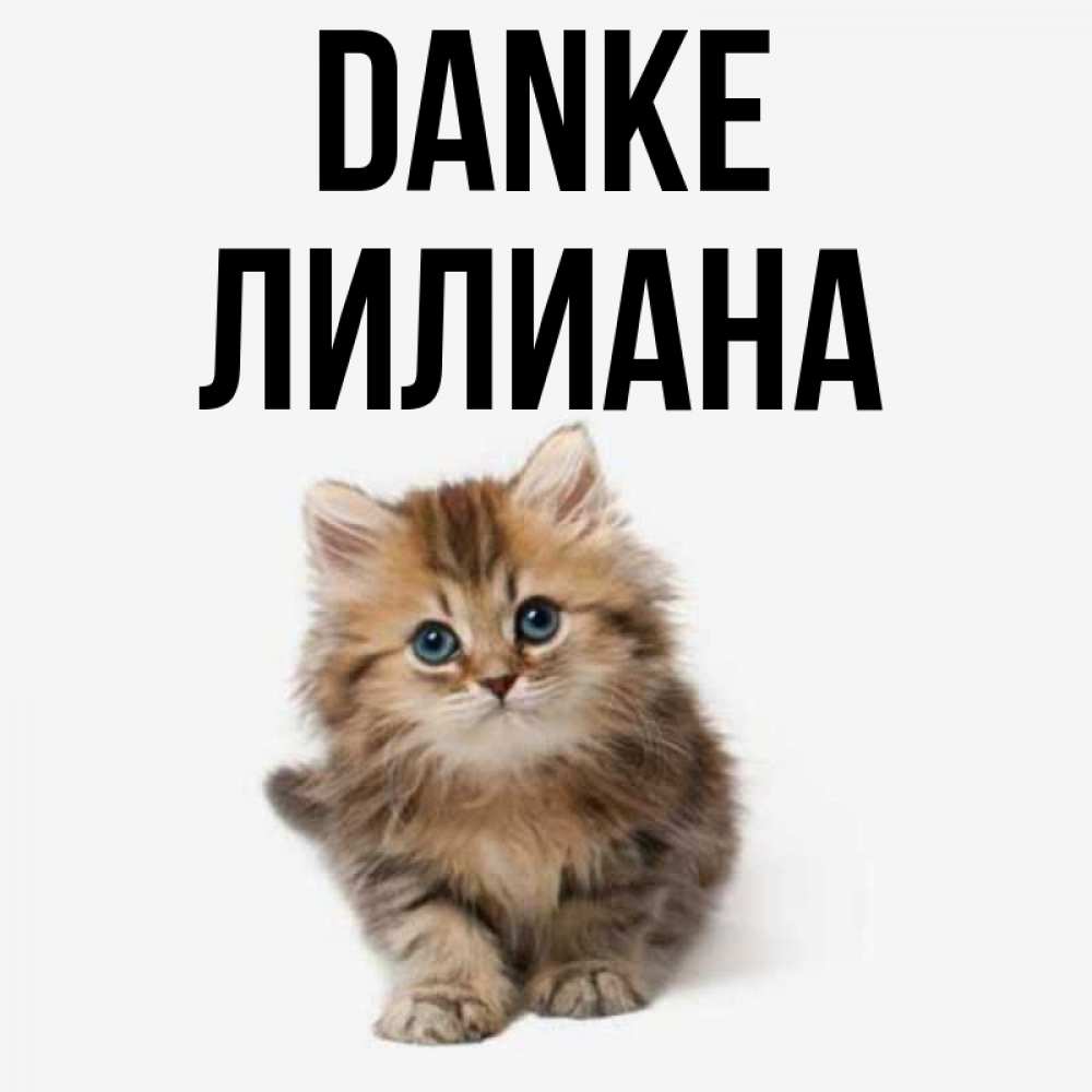 Открытка на каждый день с именем, Лилиана Danke пушистый котик Прикольная открытка с пожеланием онлайн скачать бесплатно 
