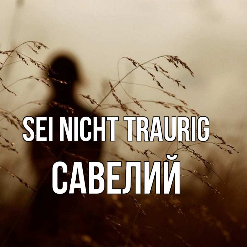 Открытка на каждый день с именем, Савелий Sei nicht traurig грусть Прикольная открытка с пожеланием онлайн скачать бесплатно 