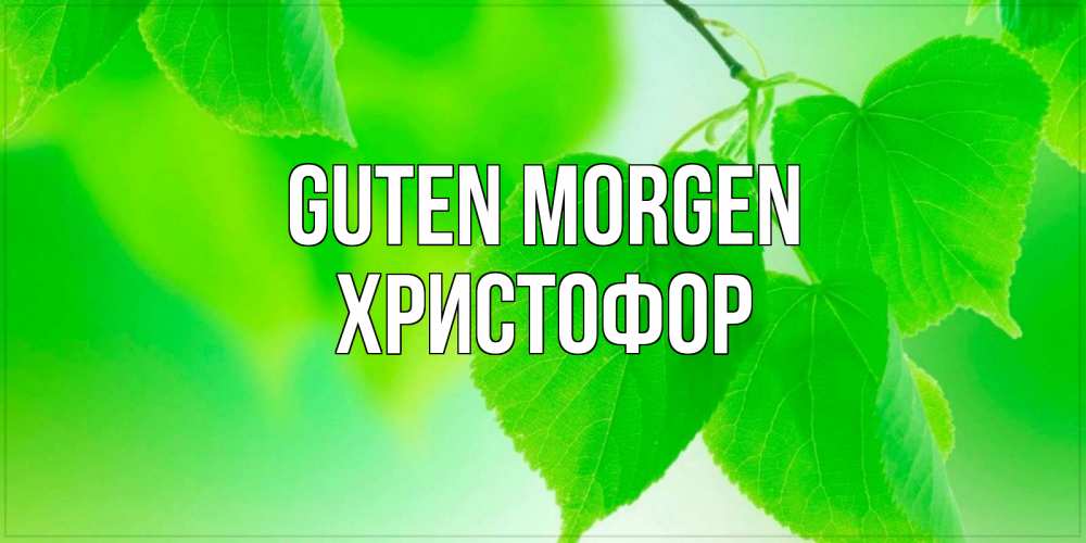 Открытка на каждый день с именем, Христофор Guten Morgen доброе утро с березовыми листьями Прикольная открытка с пожеланием онлайн скачать бесплатно 
