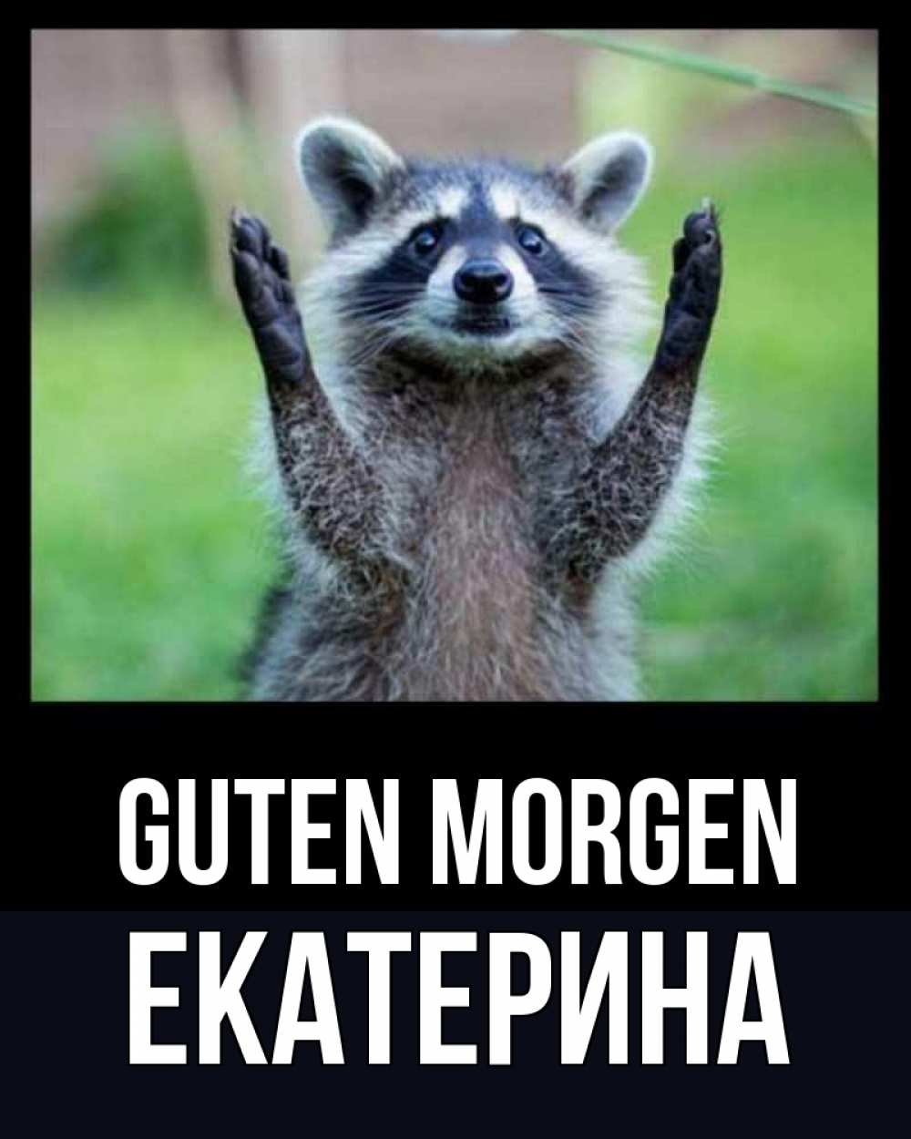 Открытка на каждый день с именем, Екатерина Guten Morgen хорошее настроение утречком Прикольная открытка с пожеланием онлайн скачать бесплатно 