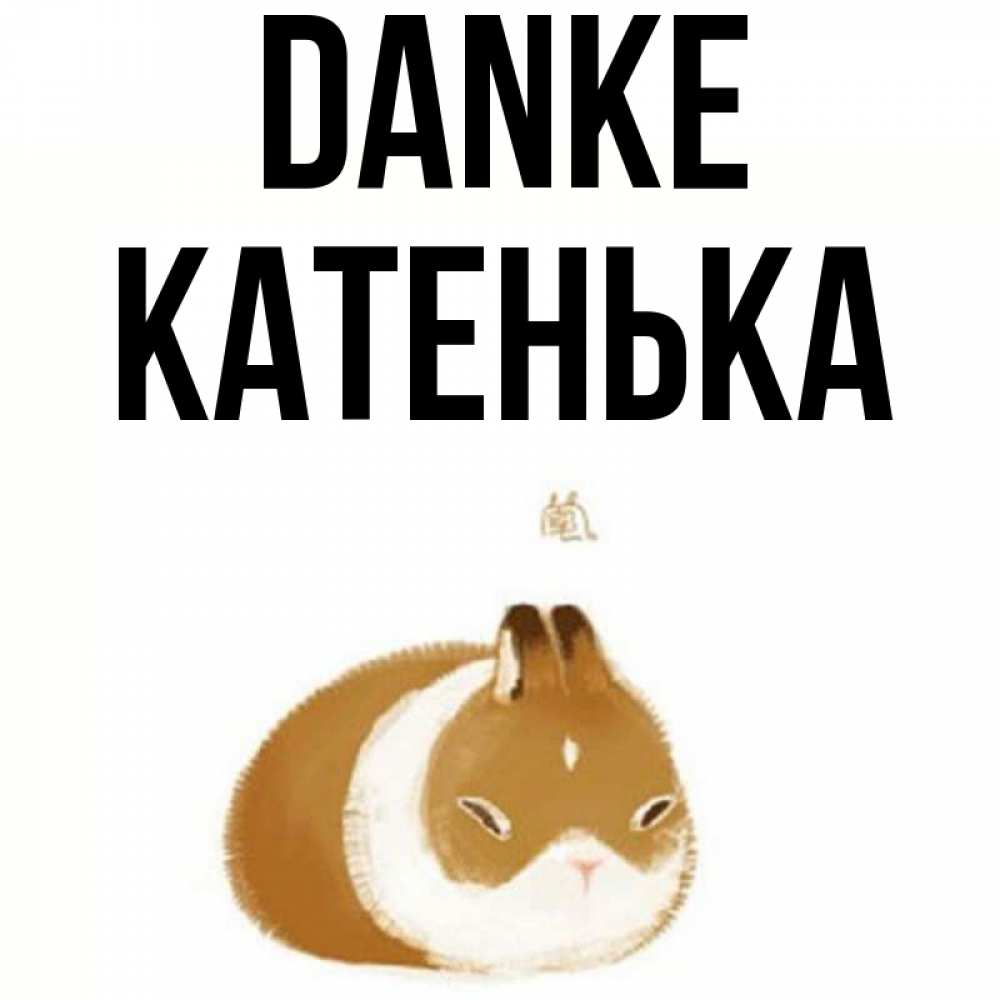Открытка на каждый день с именем, Катенька Danke коричнево белый домашний питомец Прикольная открытка с пожеланием онлайн скачать бесплатно 