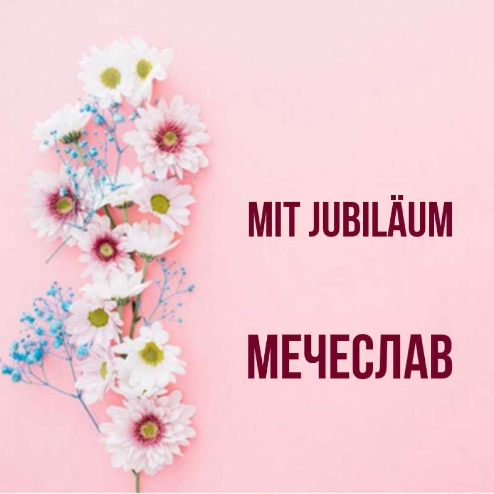 Открытка на каждый день с именем, Мечеслав Mit Jubiläum Родная моя с днем рождения тебя картинка с цветами белыми и голубыми Прикольная открытка с пожеланием онлайн скачать бесплатно 