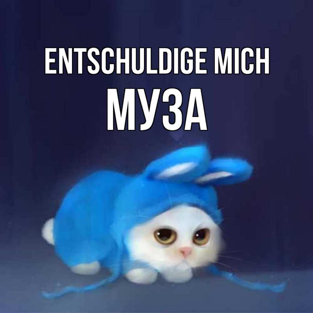Открытка на каждый день с именем, Муза Entschuldige mich невинный котозай просит прощения Прикольная открытка с пожеланием онлайн скачать бесплатно 