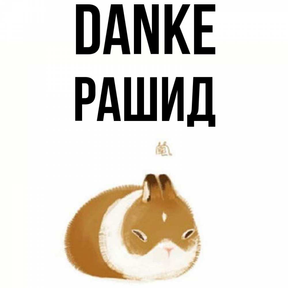 Открытка на каждый день с именем, Рашид Danke коричнево белый домашний питомец Прикольная открытка с пожеланием онлайн скачать бесплатно 