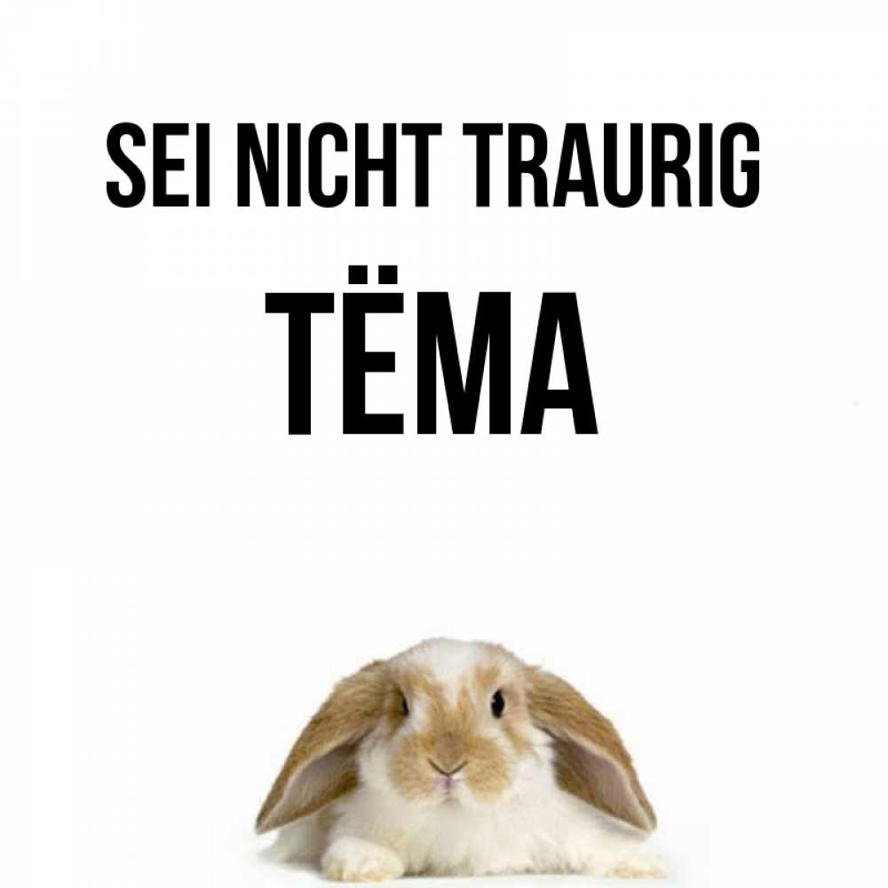 Открытка на каждый день с именем, Тёма Sei nicht traurig коричнево белый заяц с большими ушками Прикольная открытка с пожеланием онлайн скачать бесплатно 