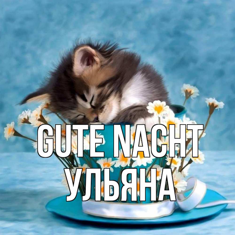 Открытка на каждый день с именем, Ульяна Gute Nacht котенок спит в кружке с блюдцем Прикольная открытка с пожеланием онлайн скачать бесплатно 